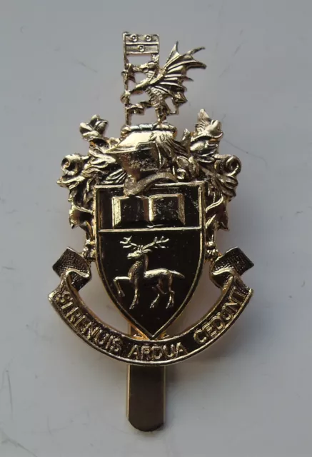 Southampton University Officer Training Corps OTC Anodised Cap Badge