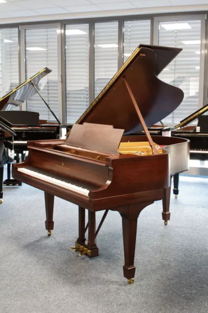 Steinway & Sons Piano à Queue, M-170, Acajou, Année de Construction 1919