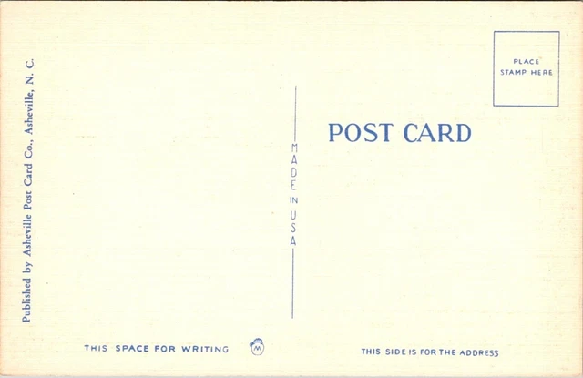 Columbia College SC Aerial Airplane View Asheville Publisher linen postcard P36 3