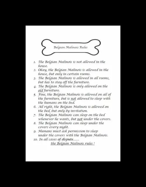 * Belgian Malinois "Rules" - CUSTOM MATTED - Dog Art Print : GIFT