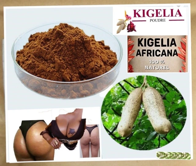 Poudre De Kigelia Africana 50g - Pour Augmenter Fesses Et Seins, Bio Naturel - Neuf