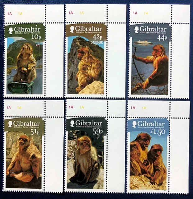 Gibraltar 2011 Wildlife Primates- Barbary Macaque/Monkeys MNH Set #1290-95