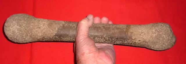 Choice (15.5") Sahara Neolithic Stone "Dog Bone" Pestle Ancient African Artifact