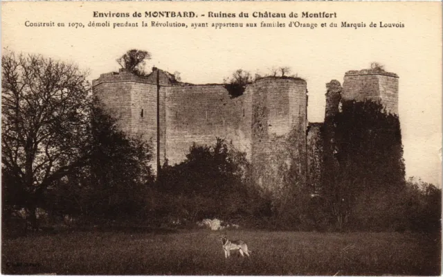 CPA Environs de Montbard Ruines de Chateau de Montfort FRANCE (1375580)