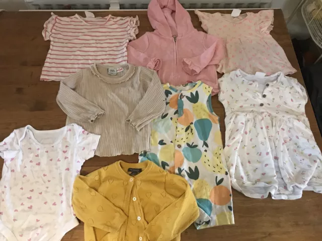 Baby Girl Clothing Bundle 9-12 Months