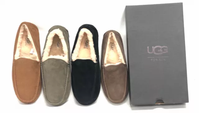 Ugg Australia Mens Ascot Suede Sheepskin Slipper 5775 Chestnut Charcoal Espresso 2