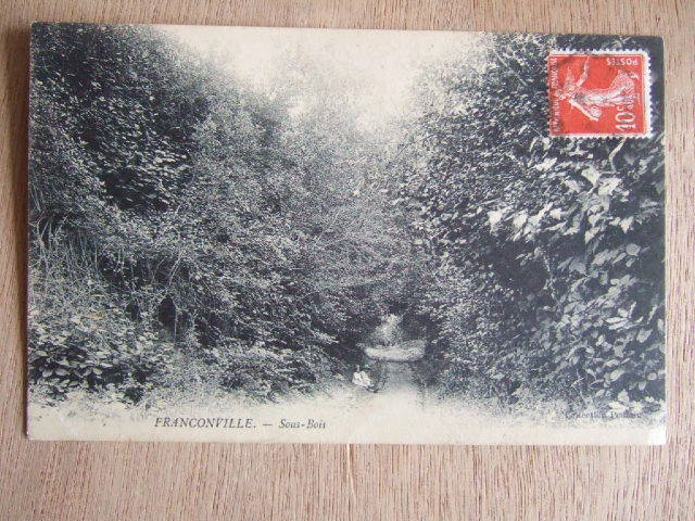 Cpa Franconville (95) Sous Bois. Chemin Foret Promeneurs Assis Sur Le Bord