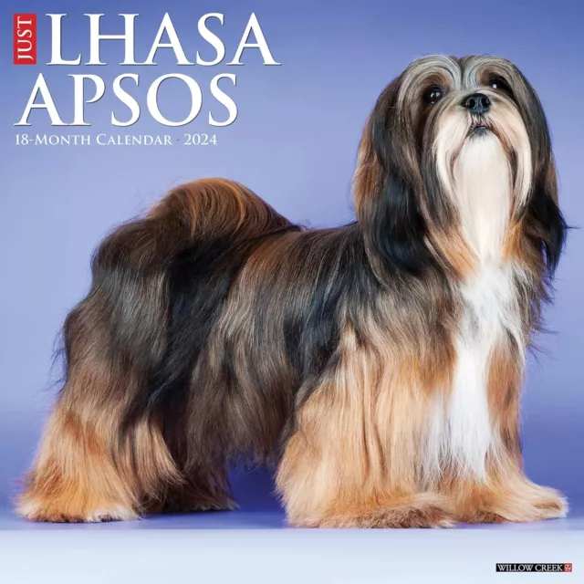 Solo Lhasa Apsos - 2024 Calendario da Parete - Nuovo - 34255
