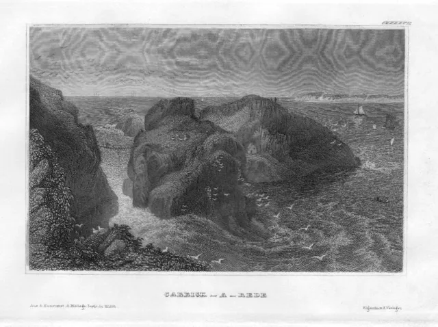 1850 - Carrick-a-Rede Isola Seibrücke Bridge Antrim Ireland Engraving