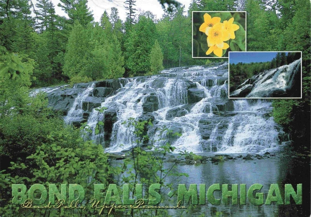 Bond Falls Michigan Upper Peninsula NTC-134 Postcard