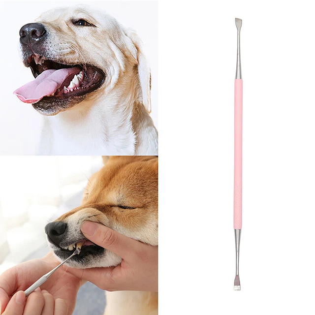 PET TOOTH CLEANER Stainless Steel Tartar Removers Scraper Dog Oral ...