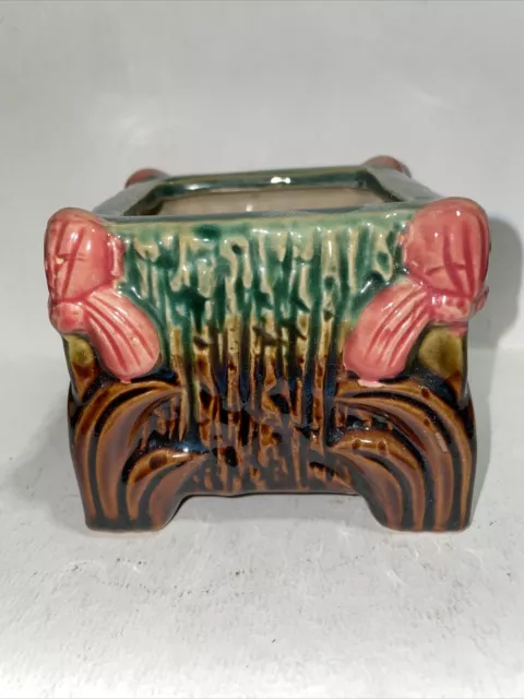 majolica planter square orchid