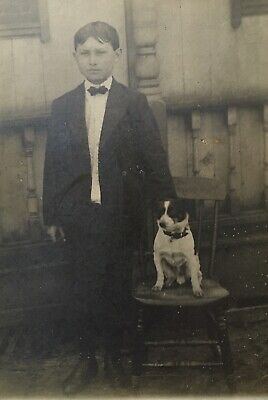 1890’s VTG School Boy With Beloved Terrier Dog CABINET CARD PHOTO