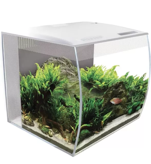 Brand New Fluval Flex Curved Glass LED Nano Aquarium Fish Tank 34L
