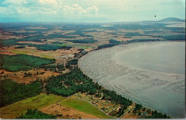 Aerial View of Birch Bay WA Showing Mud Flats Vintage Postcard H68