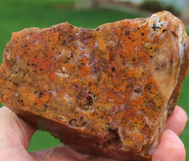 BLACK HILLS PLUME AGATE,JASPER,Cab,slab,SPECIMEN, 1.13 lb chunk,lapidary,Utah