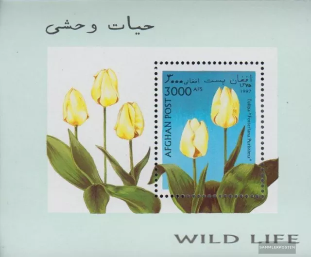 Afghanistan Block 93 (completa.Problema.) MNH 1997 Tulpenzüchtungen