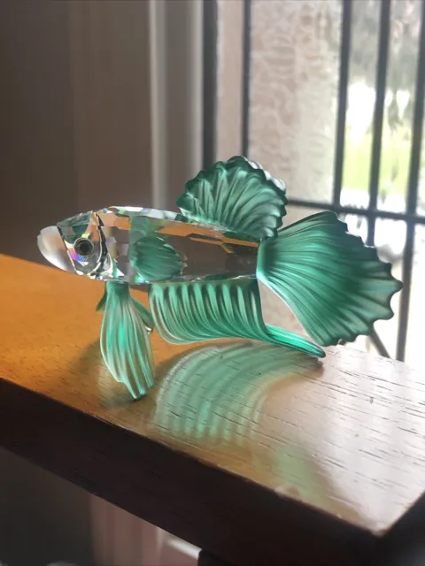 Swarovski crystal figurine Siamese Fighting Fish Betta 261259 Mint with box.