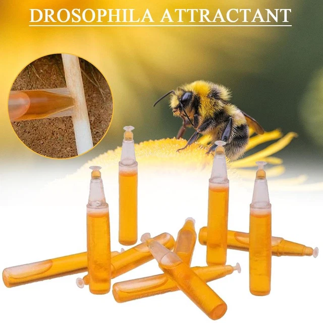 10pcs Fruit Fly Trap Killer Drosophila Trap Fly Catcher Pest Insect Control F2A3