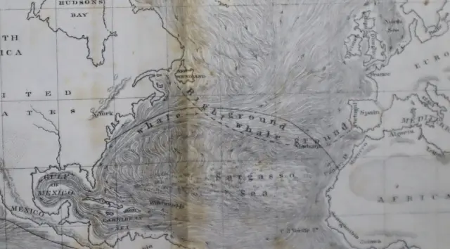 1855 M F MAURY Hydrography Map / Chart ~ SEA DRIFT - SPERM - RIGHT WHALE GROUNDS