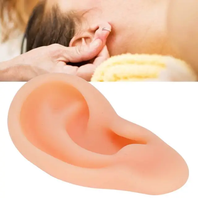 Simulated Ear Model Acupuncture Practice Massage Teaching Tool(Right ) SD3