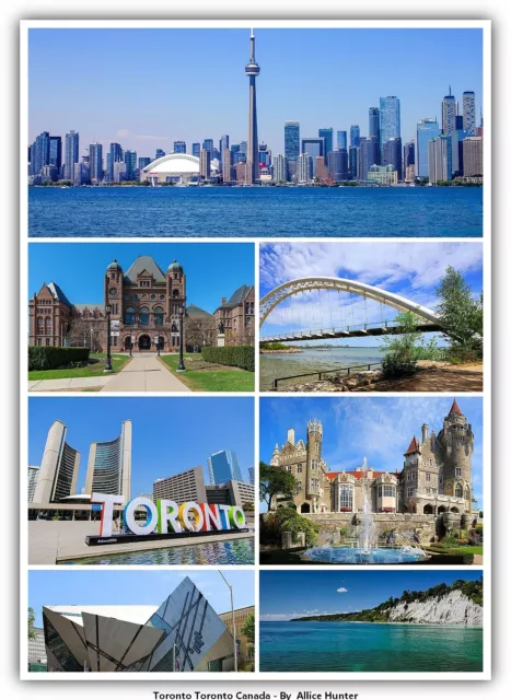 Toronto Toronto Canada  Postcard