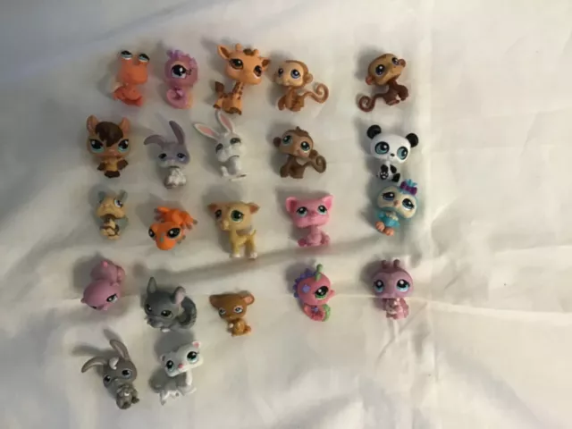 petshop lot