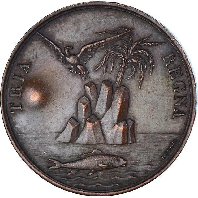 France François Mazois - 1828 - Société Des Sciences Belles Lettres Et Arts De Bordeaux Bronze A58079