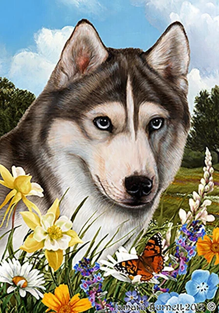 Summer Garden Flag - Blue-Eyed Grey and White Siberian Husky 184351