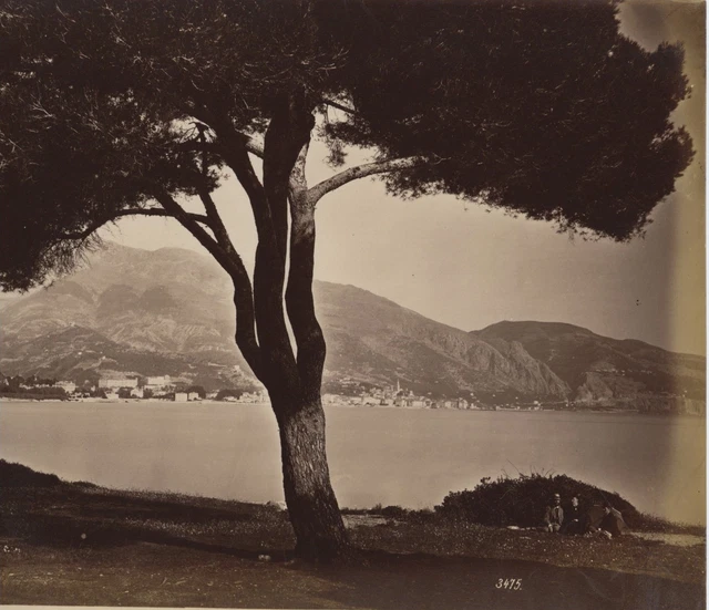 Tirage Albuminé Vintage Vue De La Marne 1890 - Format 12x17 Cm, Pièce Collector