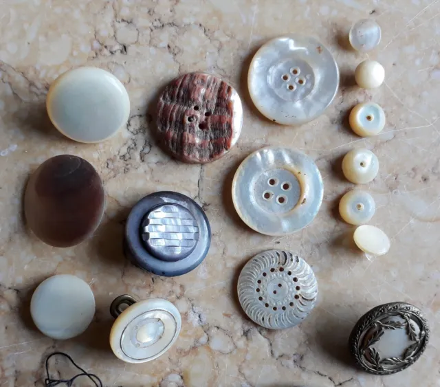 Joli lot de 16 boutons anciens en nacre et coquillage