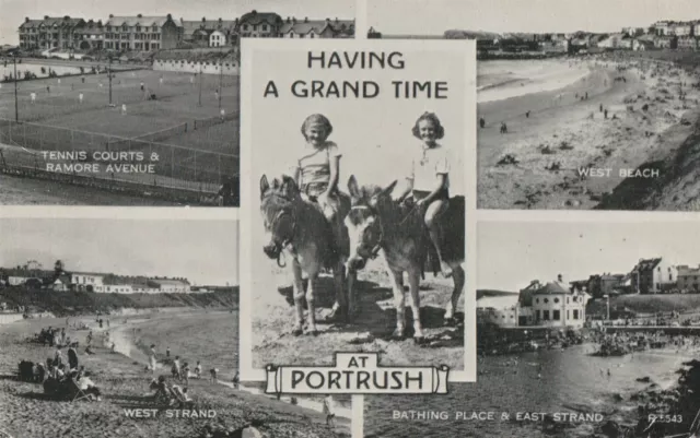 a northern ireland old antique postcard ulster irish antrim portrush donkey