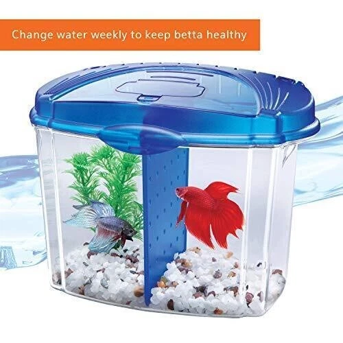 Aqueon Betta Bowl Kit Blue .5 Gallon