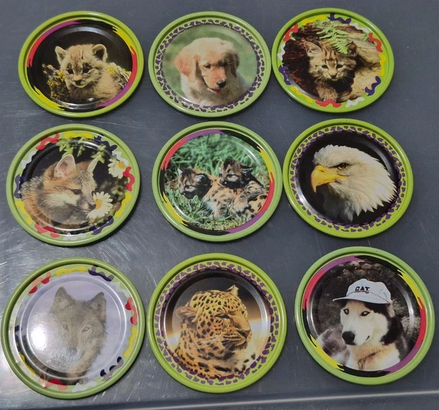 Gros Lot De 48 Pogs Tazos Rapper Metal - Magic Box International - Années 90