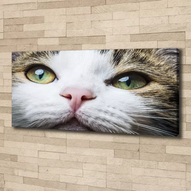 Cuadros Modernos Sobre Lienzo Para el Salón 125x50 Ojos de gato verde