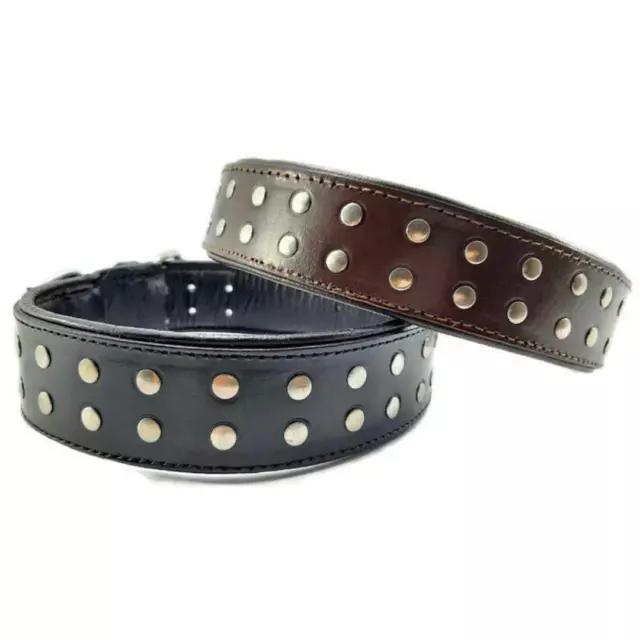 2" Leather Studded Dog Collar Padded For Large Breed Heavy Duty Pit Bull Terrier