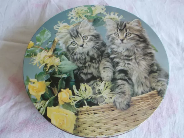 Seltene Blechdose alt antik Katzen Blumen Bordüre rund ENGLAND Sammlerobjekt 2