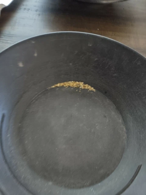 Gold Paydirt 1 lb 100%  with Guaranteed 1 Gram added Gold