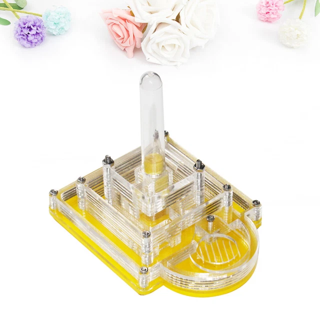 Kit de hábitat de hormigas juguetes de desarrollo hormigas granja rompecabezas transparente