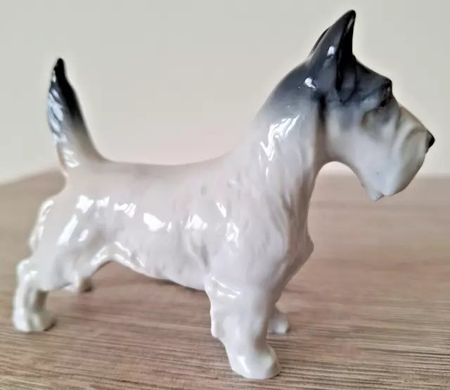 Porzellan Figur,Netzler & Ortloff, Terrier.  Höhe ca 8cm