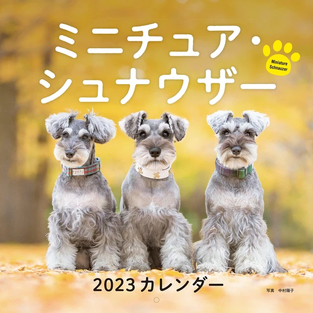Calendario De Pared 2025 – Schnauzer Miniatura – Fotos De Alta Calidad Y Organizador Mensual