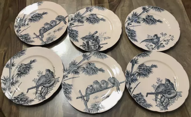 6 Anciennes Assiettes plates Longwy modèle oiseaux bleu et fond rose pale