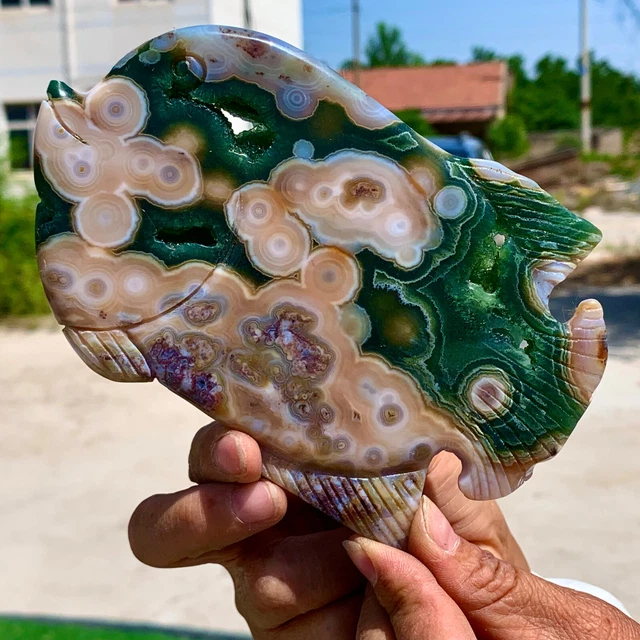 247G Amazing Natural Ocean Jasper Crystal Carved Fish Jasper Halo Stone