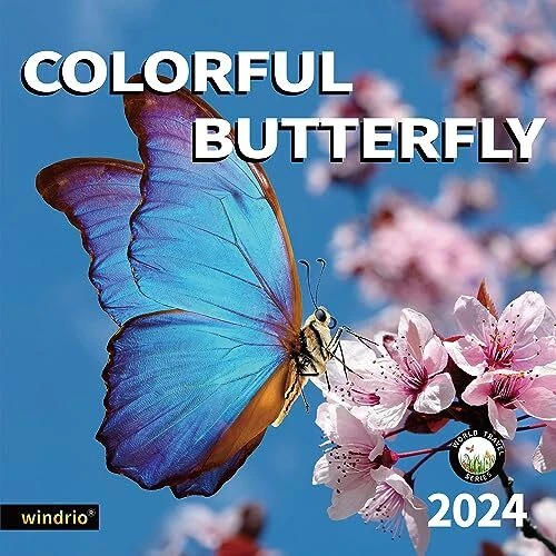 2024 WALL CALENDAR,CALENDAR 2024, November 2023 December 2024, Wall