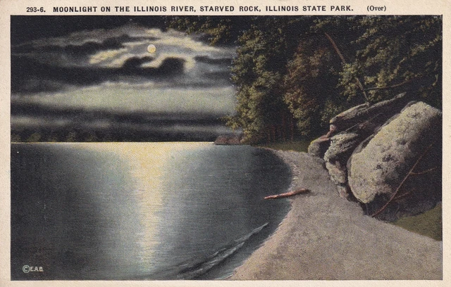 Starved Rock Illinois State Park IL Postcard Moonlight River La Salle County N06