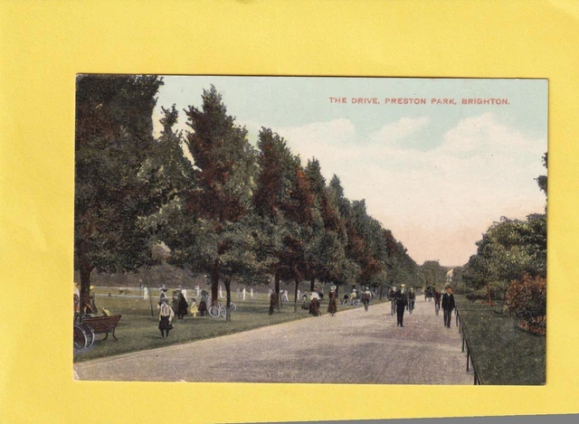 Brighton  Preston Park     -  Sussex   ( Tr55 )