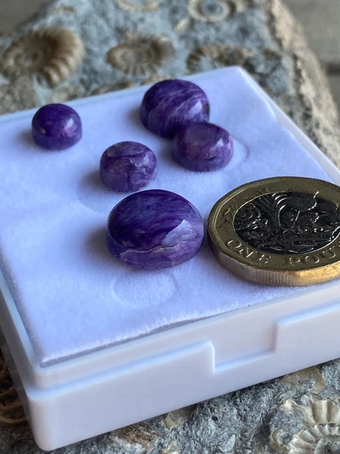 Charoite* - Halbedelstein - Edelstein - Cabochons - 5 Stck. - Schmuckherstellung