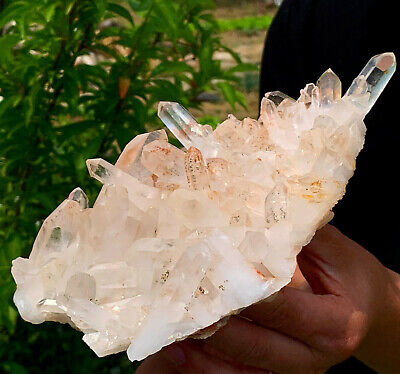 2.29LB  A+++Large Natural white Crystal Himalayan quartz cluster /mineralsls 761