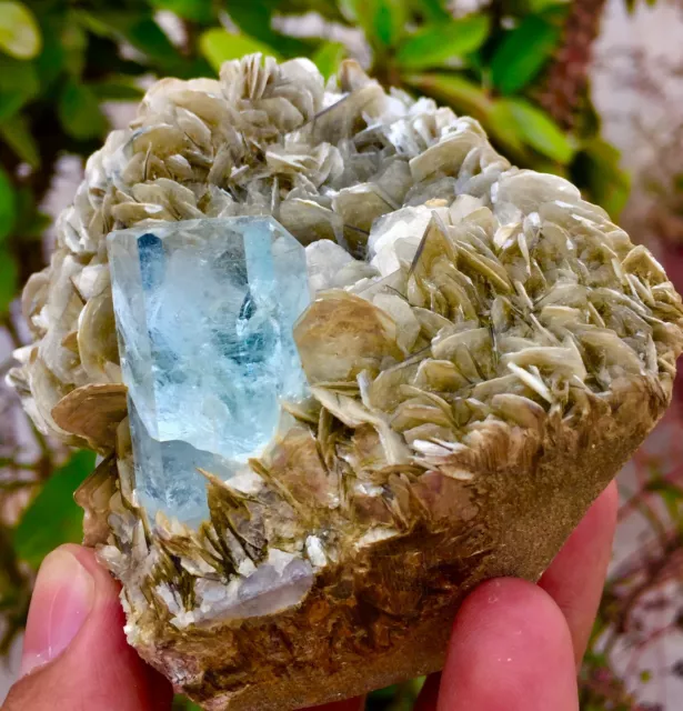 2185 Cts Top Class Terminated Blue Color Aquamarine with Muscovite specimen 3