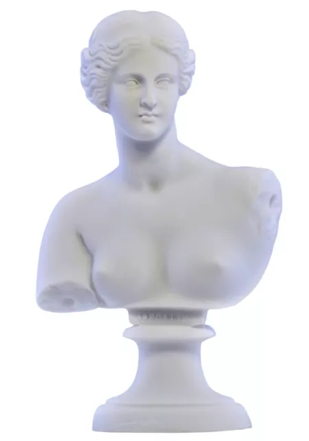 Goddess Aphrodite Venus Bust head Greek Statue Sculpture Cast Marble Copy